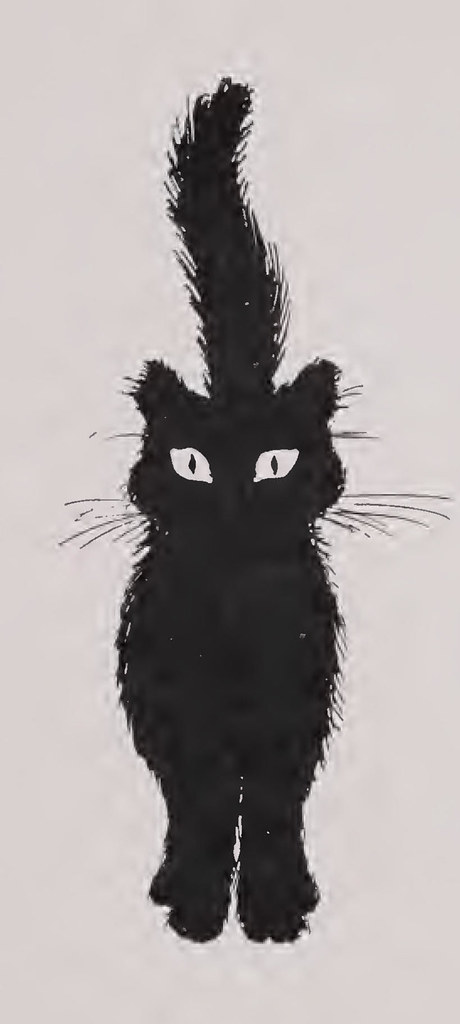 How We Choose Our Products (A Cat Sits On Them)
