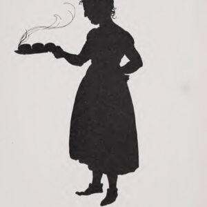A cat, illustrating Ceiling Sweeper Pro
