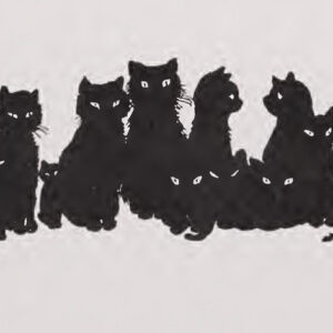 A cat, illustrating Pocket Dot Keychain