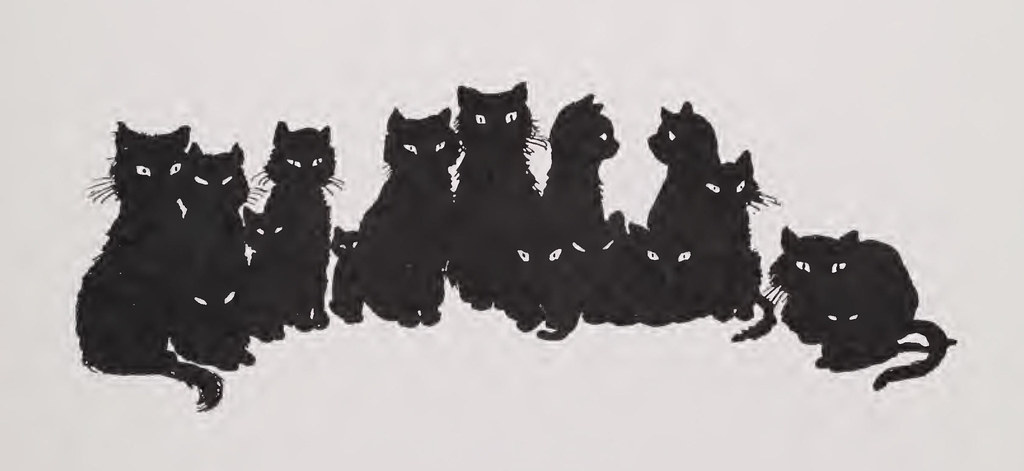 A cat, illustrating Pocket Dot Keychain
