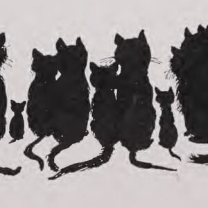 A cat, illustrating Triple Dot Party Pointer