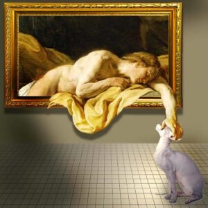 A cat, illustrating Twelve Pack of Triple A
